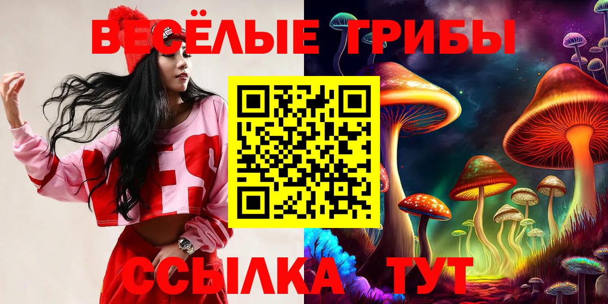 Псилоцибиновые грибы Psilocybine cubensis  Вход с VPN  Кулебаки 